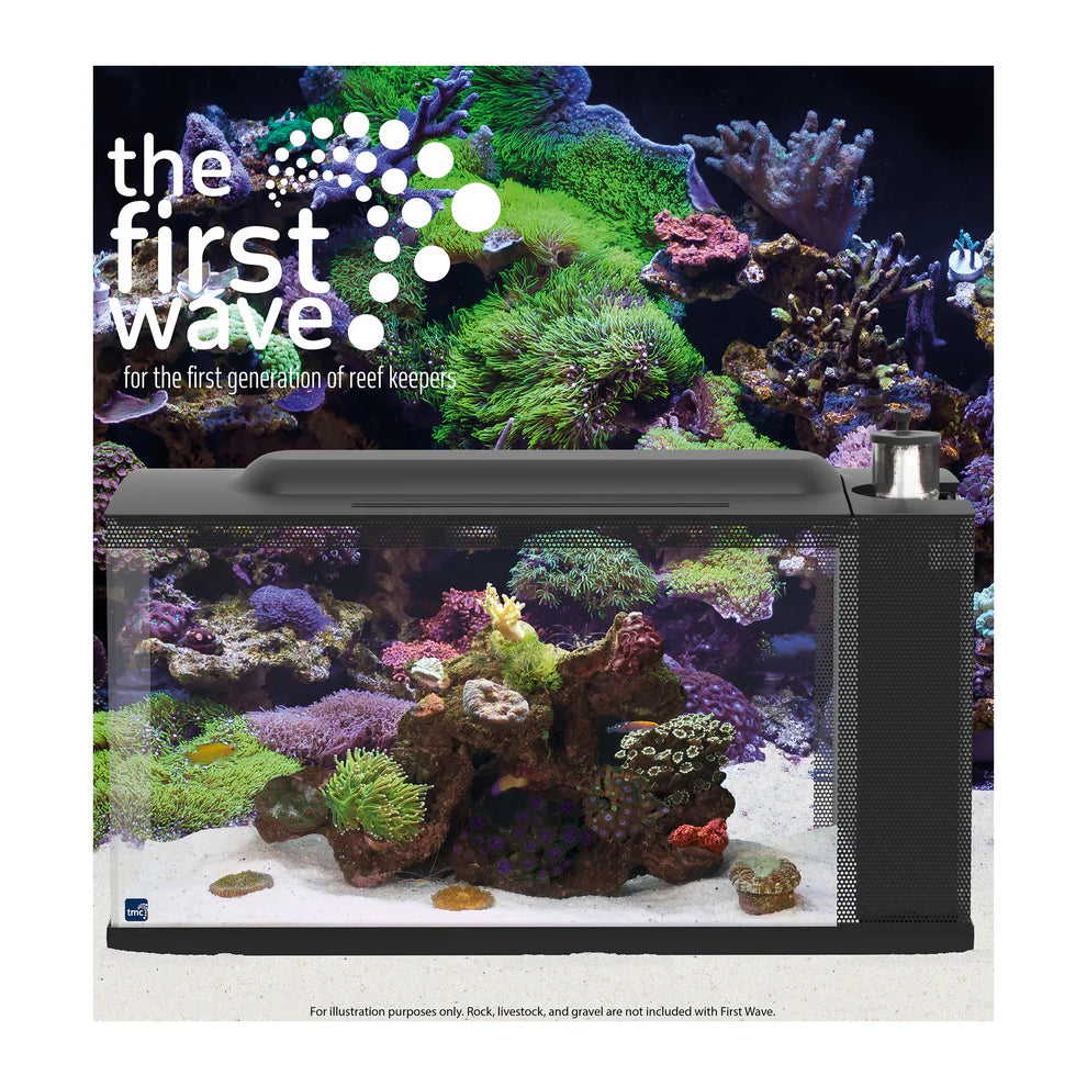 TMC First wave aquarium 48l