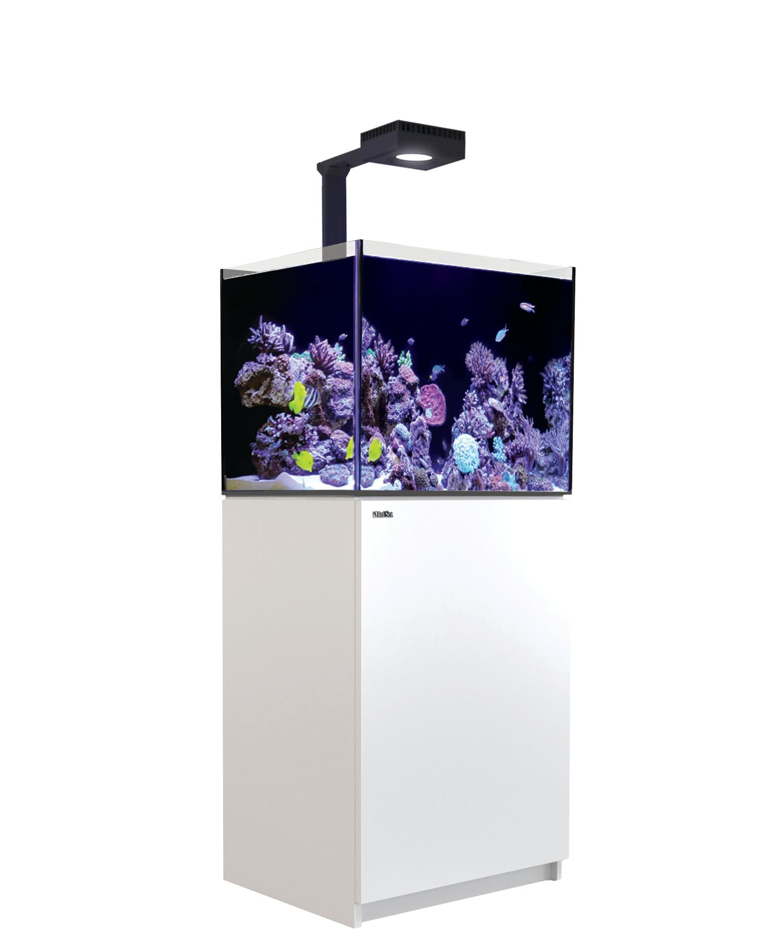 Red sea reefer 170 G2 Gen 2+ Deluxe (1x reef led 90's)