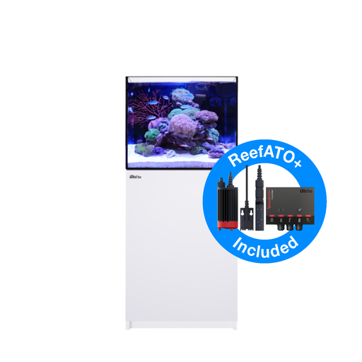 Red sea reefer 170 G2 Gen 2+ Deluxe (1x reef led 90's)