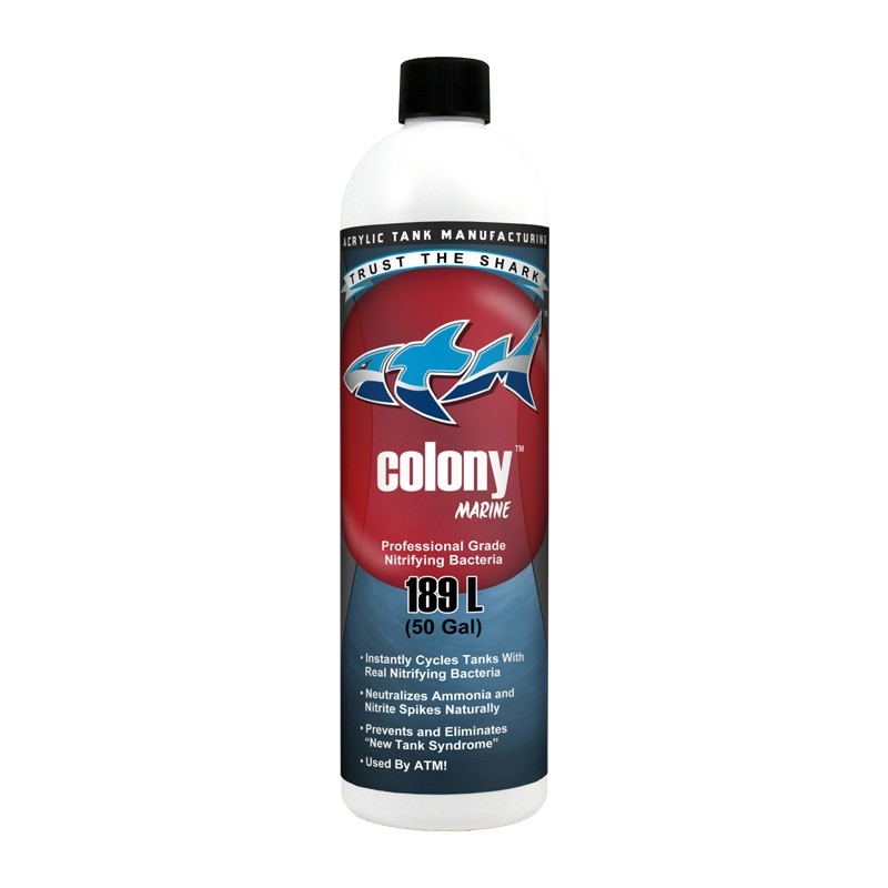 ATM colony Nitrifying bacteria MARINE 16oz (473ml)