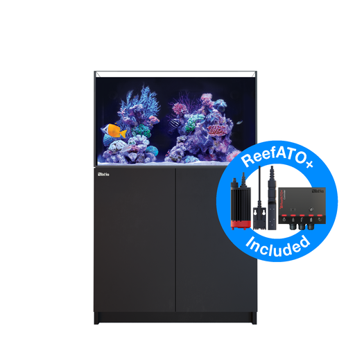 Red sea reefer 250 G2 Gen 2+