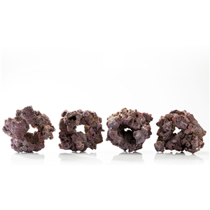 Caribsea Liferock Donuts 4Pk