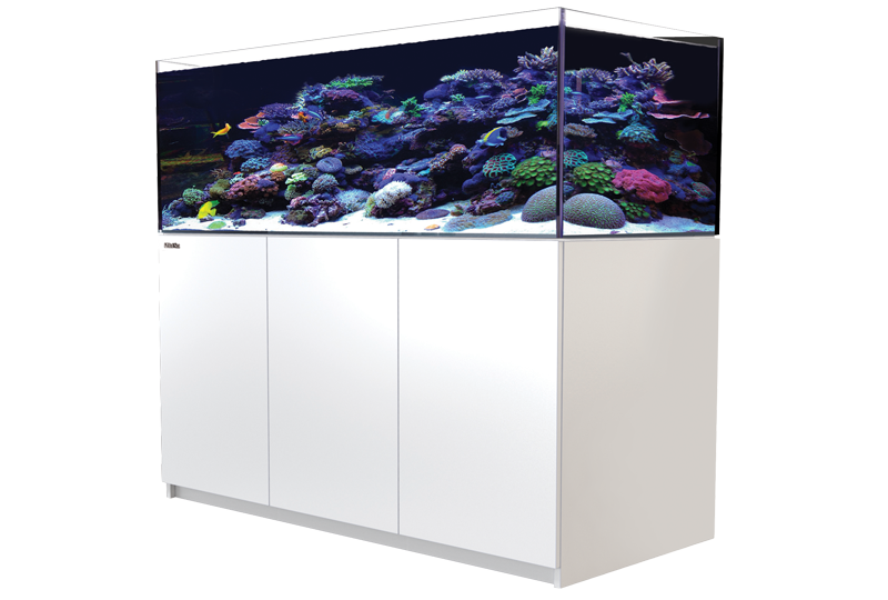 Red sea reefer 525 G2 Gen 2+