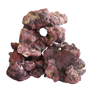 Caribsea Liferock Fraggerz 10Pk