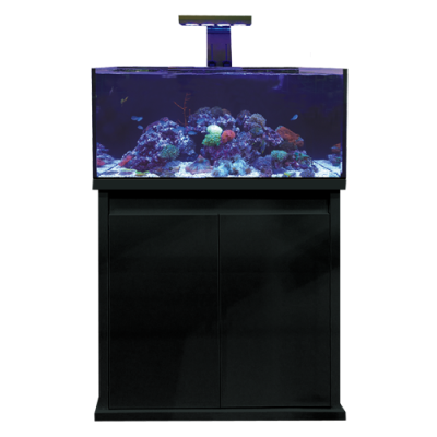 D-D Reef-Pro 900 Aquarium