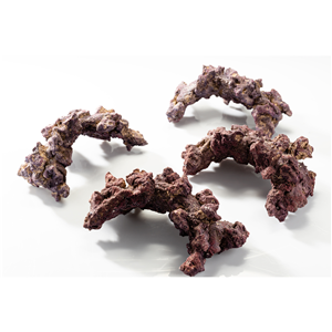 Caribsea Liferock Nano Arch 4Pk