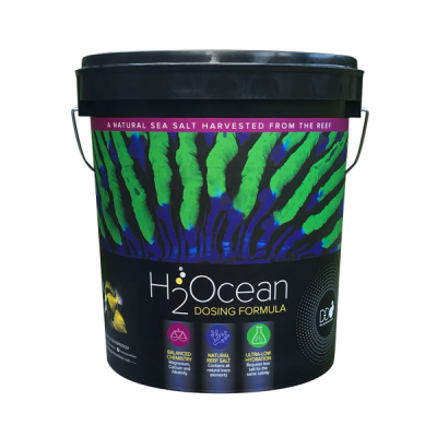 D-D H2ocean Dosing formula salt 23kg