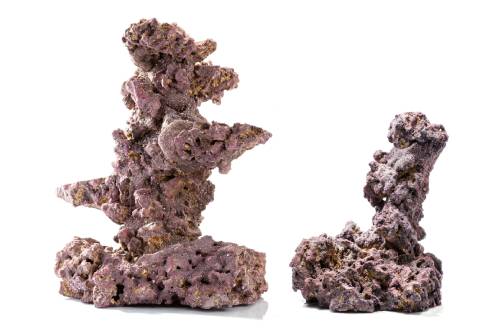 Caribsea Liferock Shrooms 2Pk