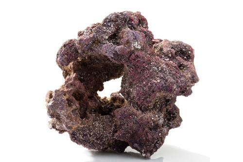 Caribsea Liferock Donuts 4Pk