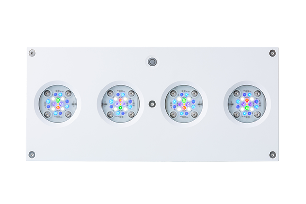 Aqua Illumination Hydra 64HD white