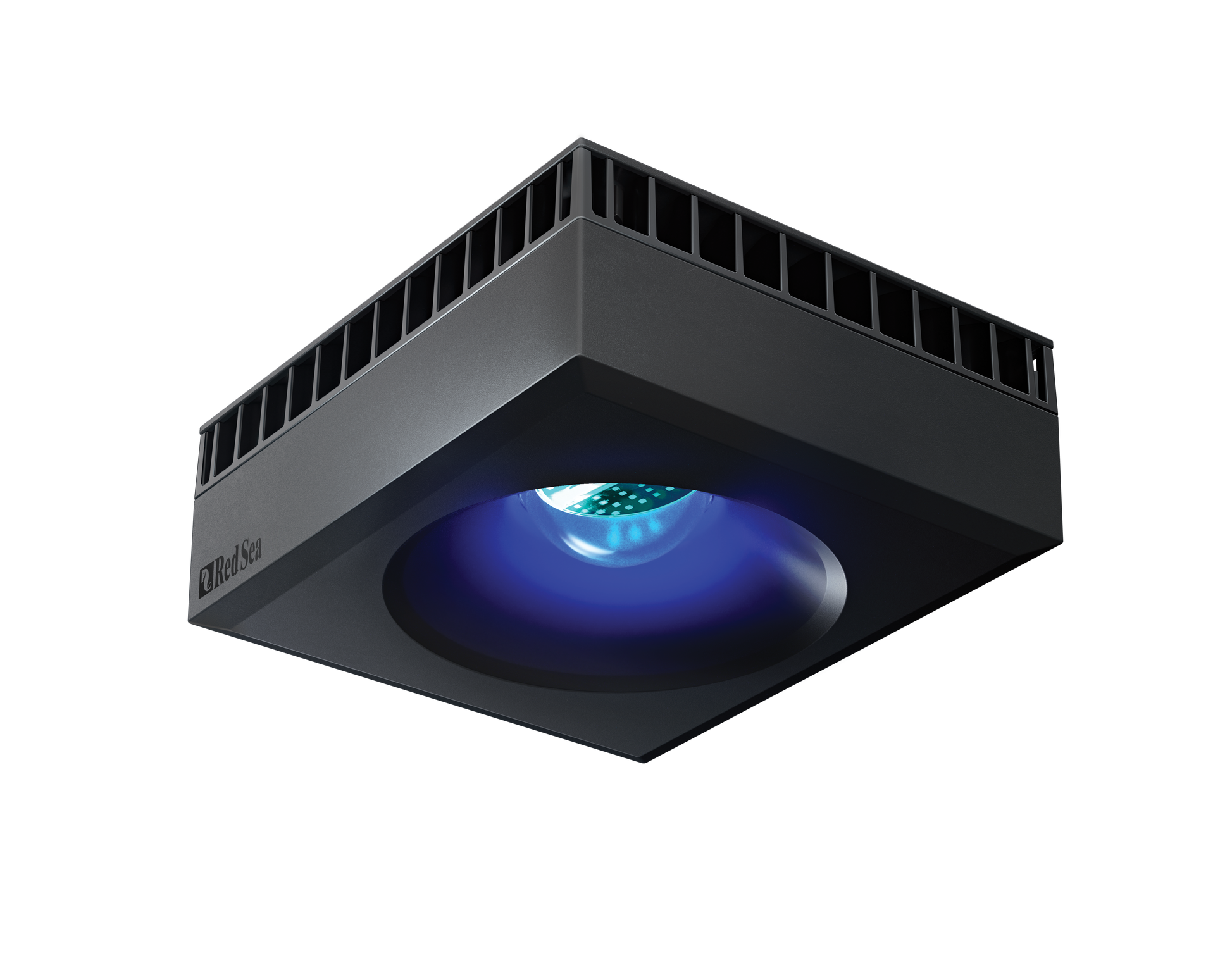 Red Sea ReedLED 90 light