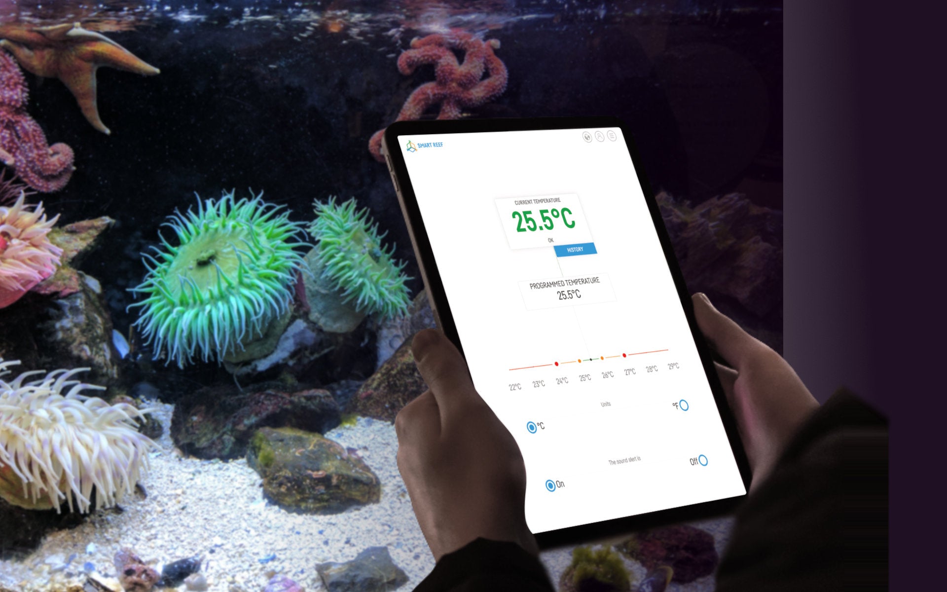 Reef factory Thermo control