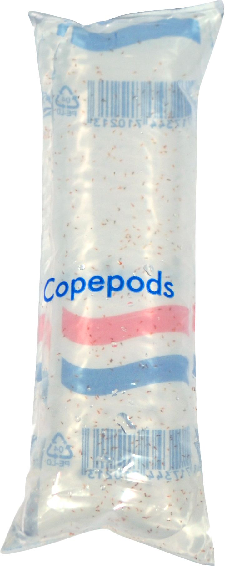 Live Copepods – 100ml