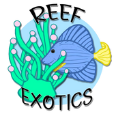 Reef exotics