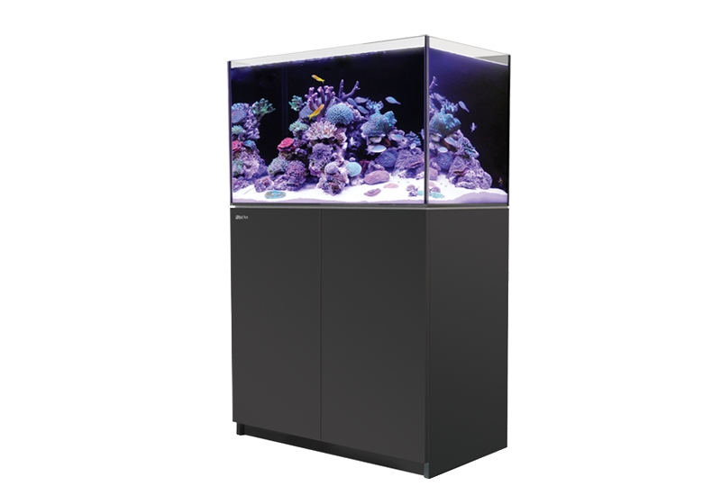 Red sea reefer 250 G2 Gen 2+