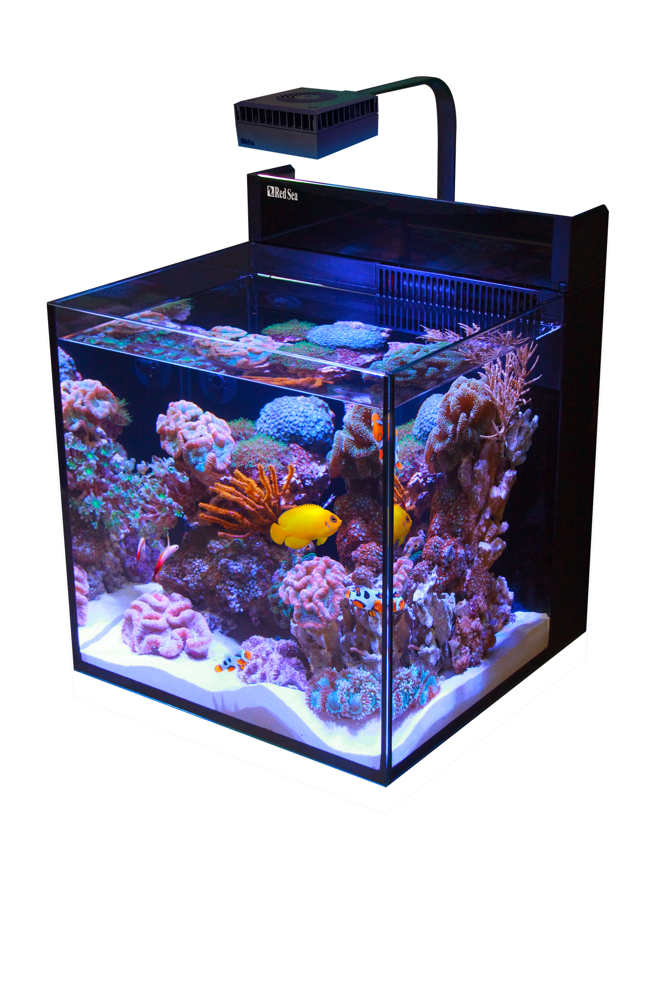 Red sea MAX NANO excluding cabinet
