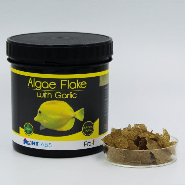 NT labs Pro-f Algae Flake with Garlic 30g